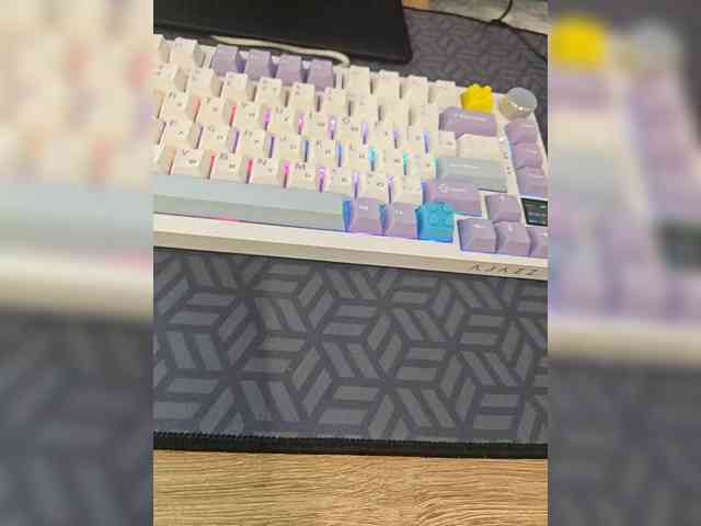 Denisspermastrel Denisspermastrel