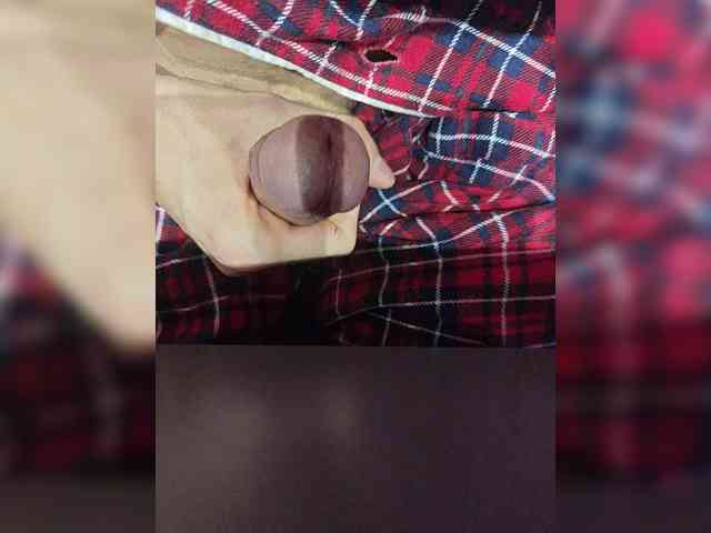 Denisspermastrel Denisspermastrel