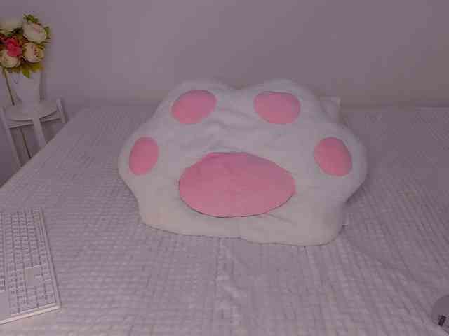 Maarymur webcam