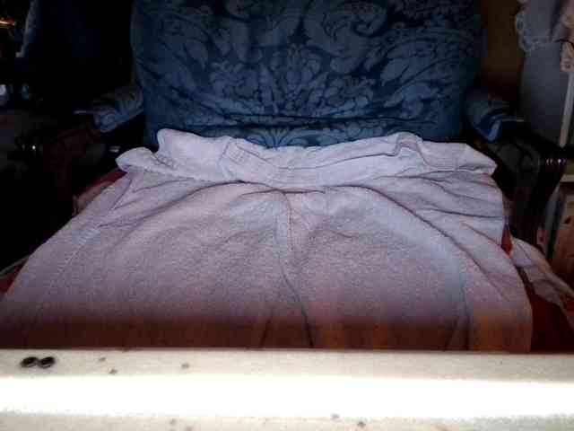 Officialdeliverydriver