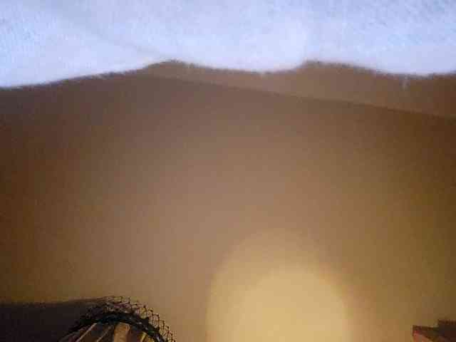 Officialdeliverydriver