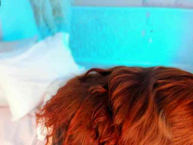 ArticaBelle ArticaBelle