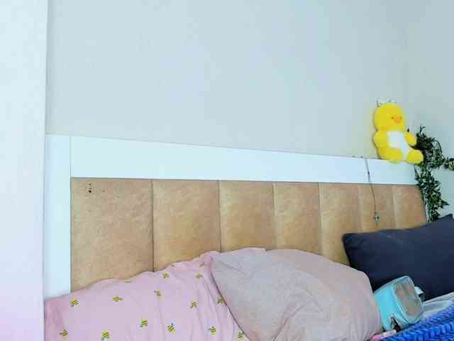 Pizda-Drozda webcam