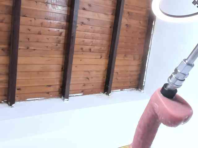 Antonellasmith0 webcam