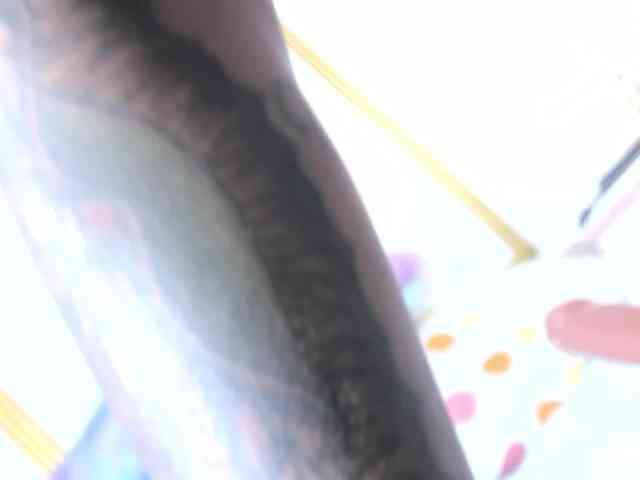 videochat random Antonellasmith0