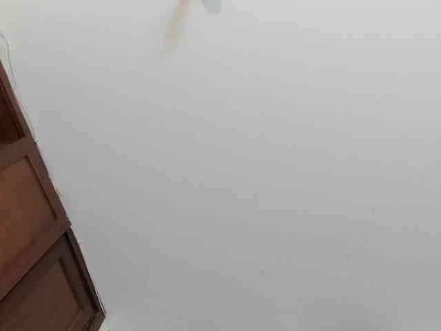 sarawilliams01 webcam