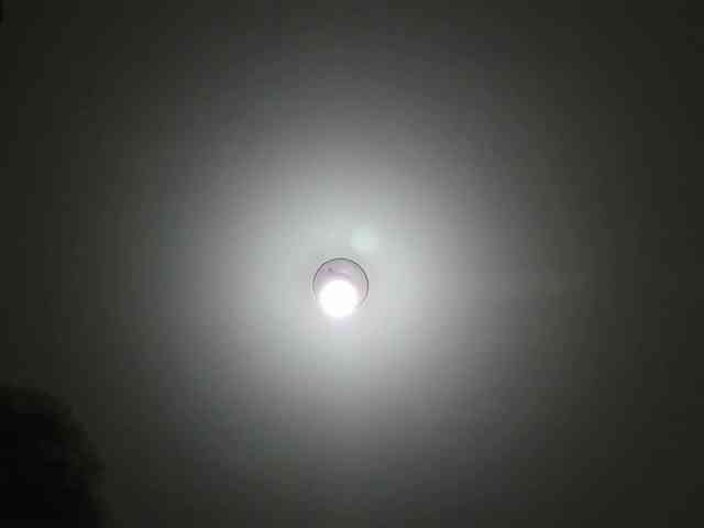 sarawilliams01 webcam