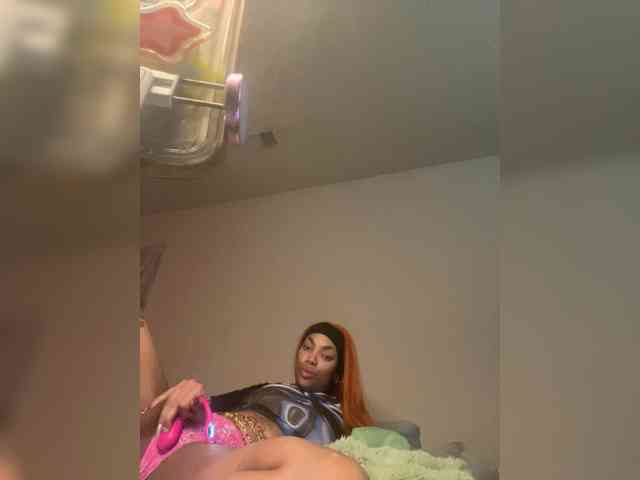 Butterflybooty webcam