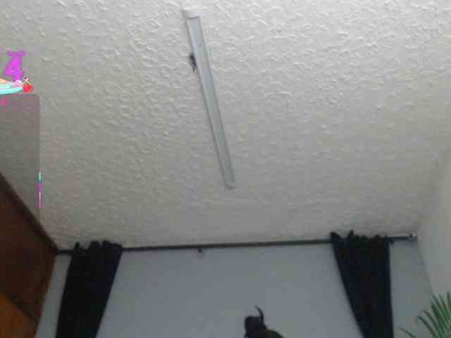 Candy-vega webcam