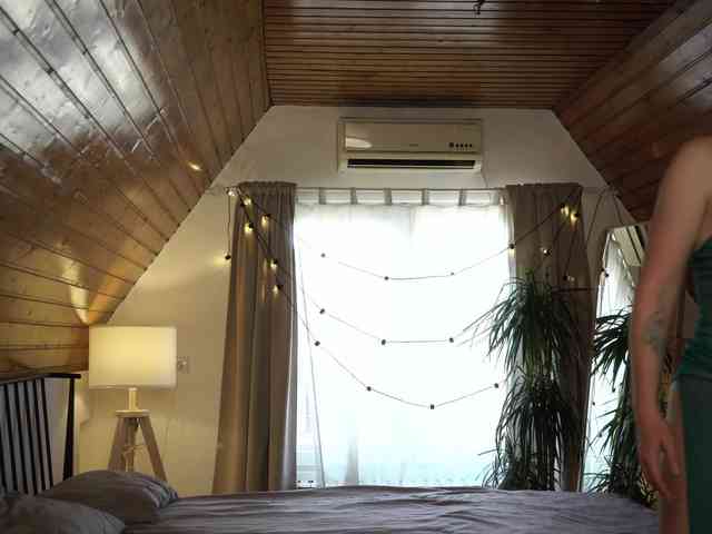 RavenRaw webcam