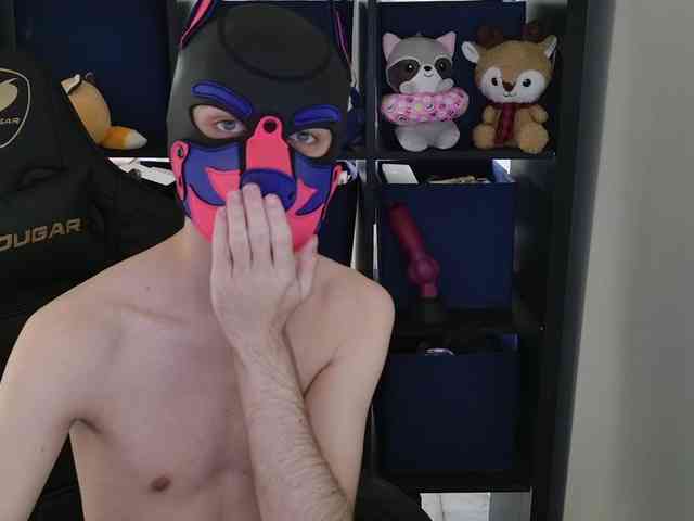 mellpupp Live Webcam on BongaCams