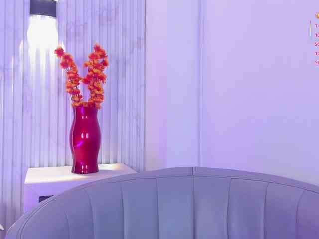Valery-wang webcam