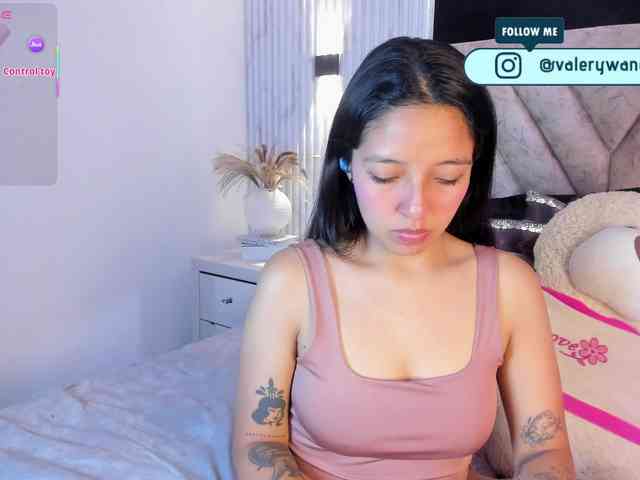 Valery-wang webcam