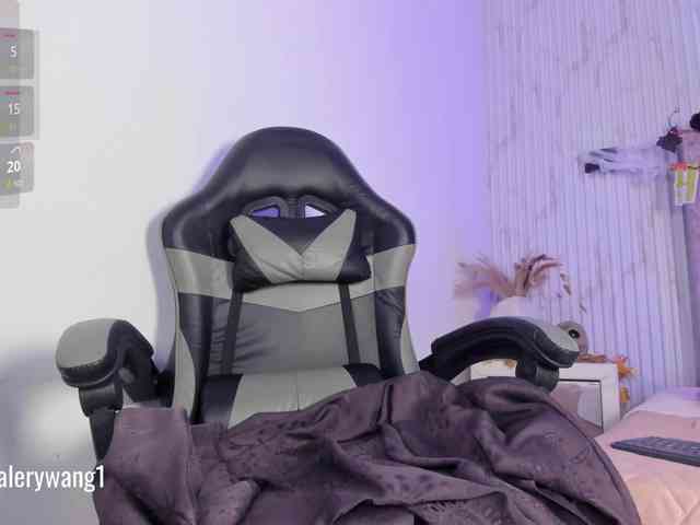 Valery-wang webcam