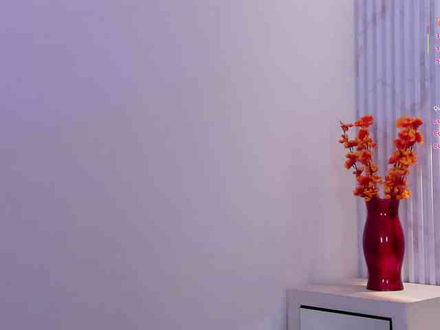 Valery-wang webcam