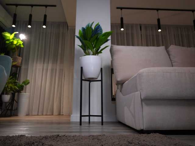 angelika5656's BongaCams show and profile