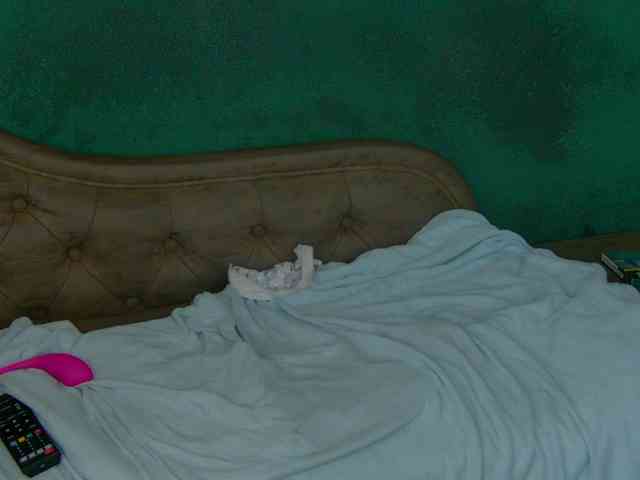 MiaSparkk webcam