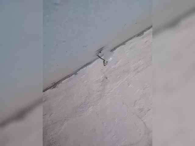 IndianBeaut IndianBeaut