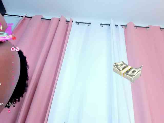 Tyraprivacy- webcam