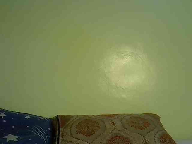 Notiryn webcam