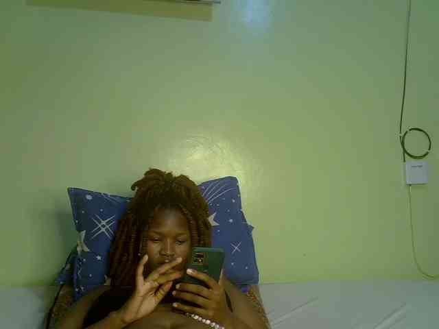 Notiryn webcam