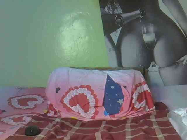 Notiryn webcam