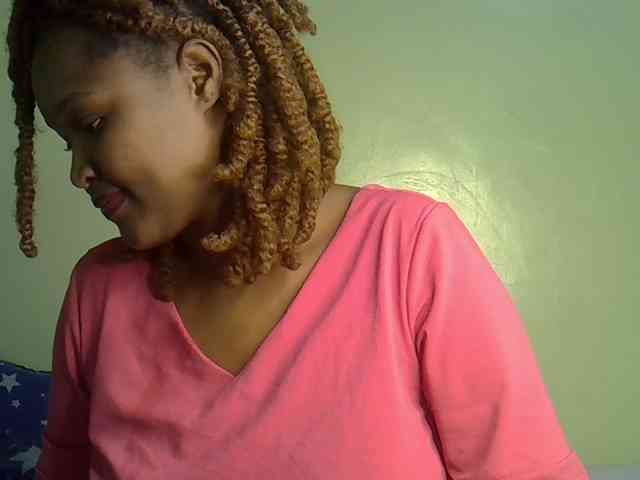 Notiryn webcam