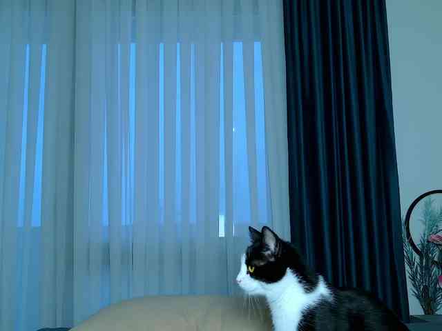 Brenda-M00n webcam