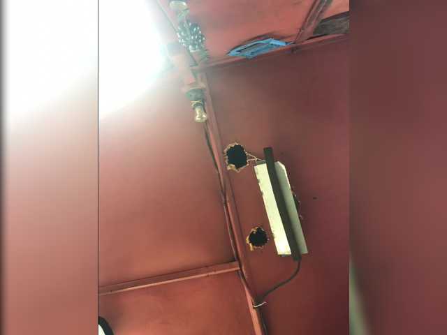 Maybus