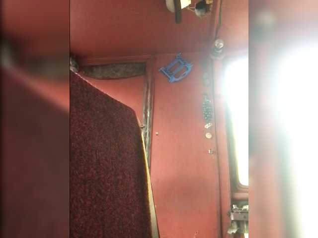 Maybus