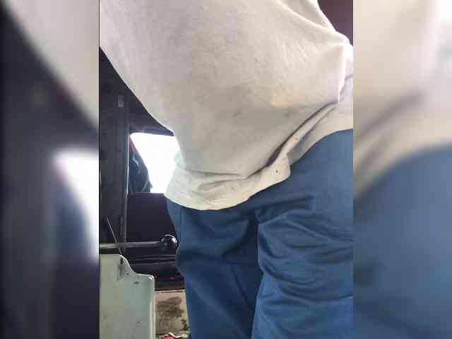 Maybus