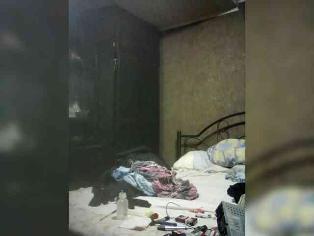 Alexander8205 Alexander8205