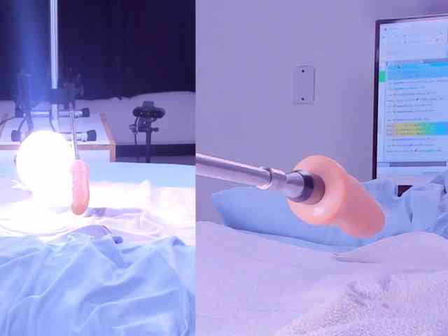 Amellia-rous webcam