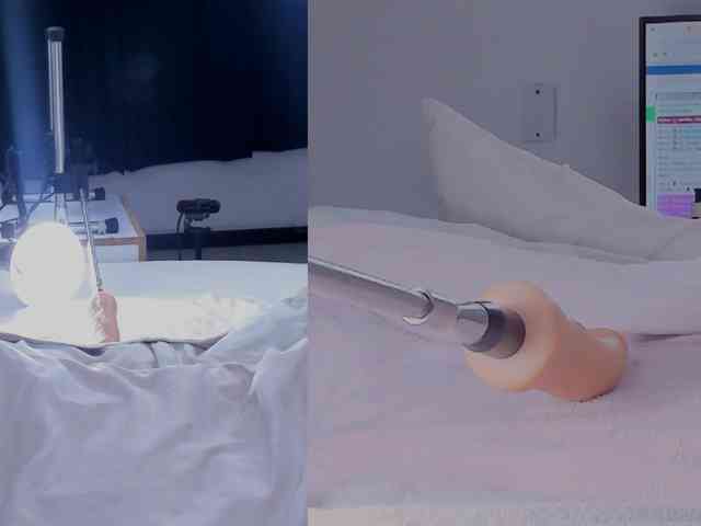 Amellia-rous Amellia-rous