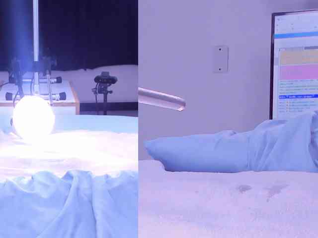 Amellia-rous webcam
