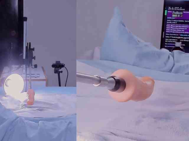 Amellia-rous Amellia-rous