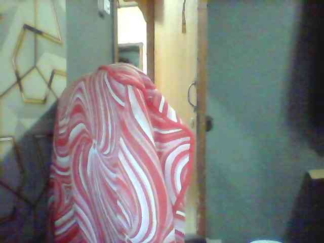 Rarra webcam