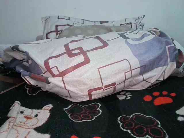 Elizabeth68a Elizabeth68a