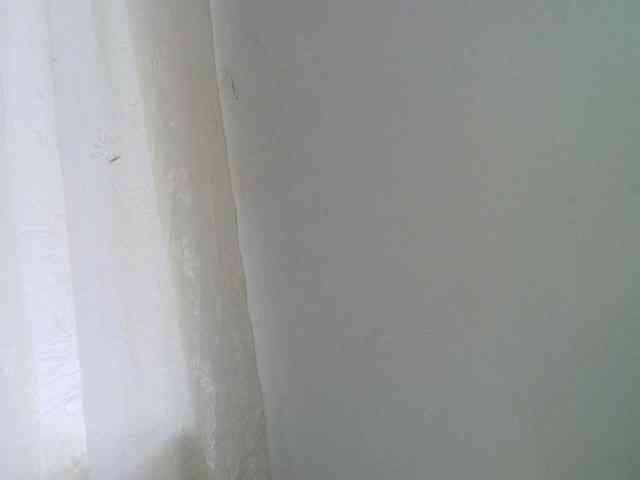 Maryandisha1 webcam