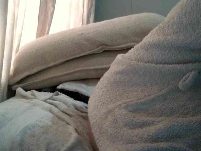 LightD webcam