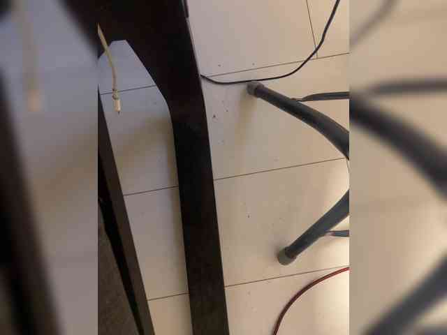 aleshajur1 aleshajur1