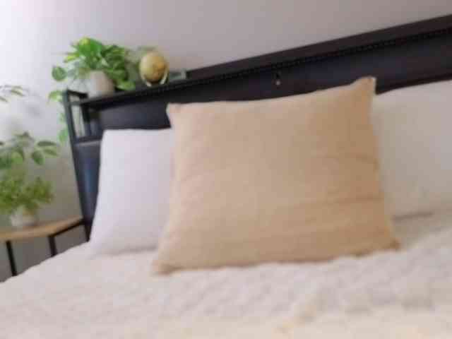 athena-th webcam