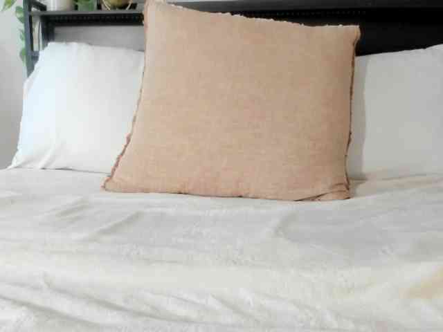 athena-th webcam