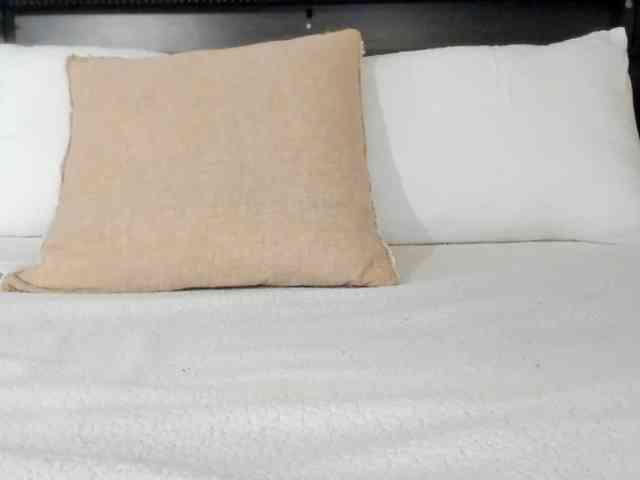 athena-th webcam
