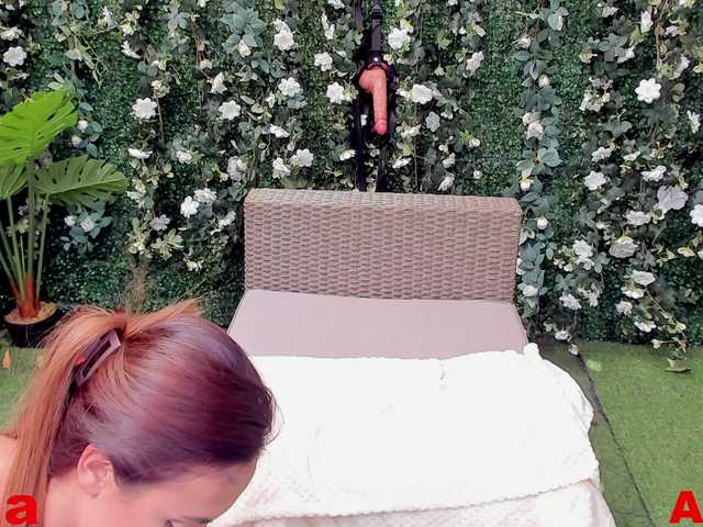  Bellaxdoll chat room