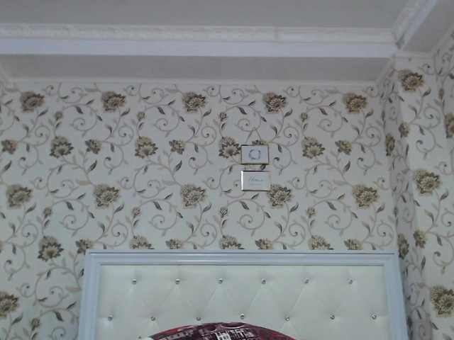 new-Katty's BongaCams show and profile