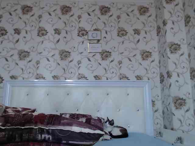new-Katty Live Webcam on BongaCams