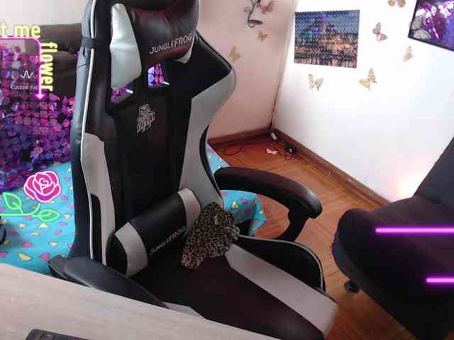 Melraise- webcam