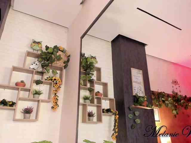 MelanieWilliams webcam