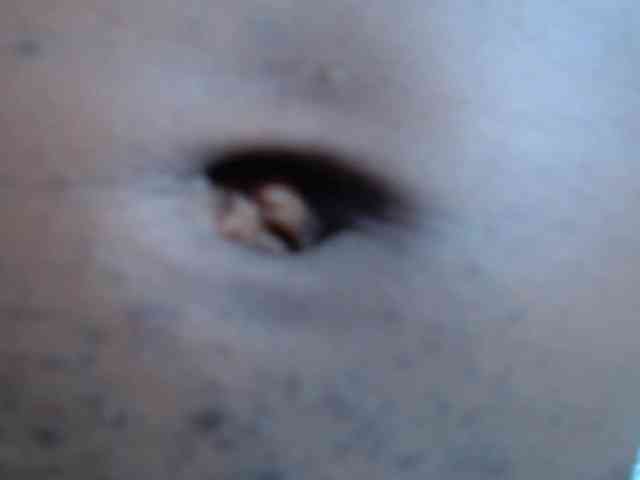 ebony-stallion ebony-stallion